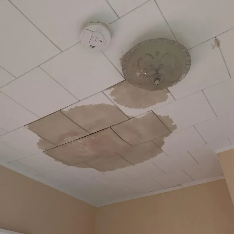 Ceiling Water Damage Repair in Hampton, MD