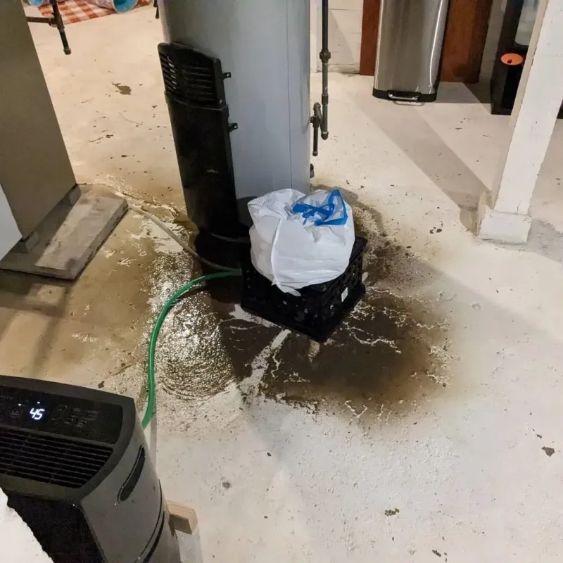 Sewage Backup Cleanup Service in Hampton, MD